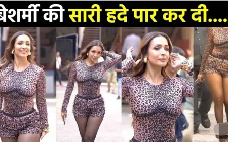 Malaika_Arora_SLAYS_in_a_Tiger-Hot_Dress___Glamour,_Style___Star_Power स्थान_की_बड़ी_खबरे_____Rajasthan_Samachar(