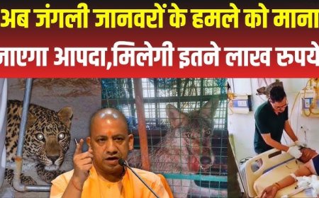 आज सुबह के मुख्य समाचार पत्र ✉ भारत_ने_किया16000KM_दूर_चिली-पेरू_के_खजाने_पर_कब्जा,_विशाल_खजानों_पर_भारत_ने_किया_खेल,_चौंक_