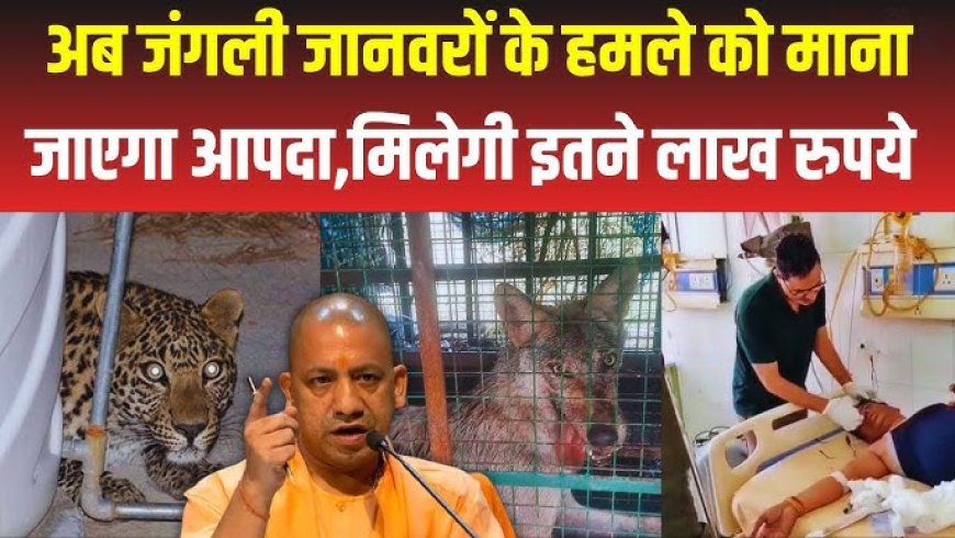 आज सुबह के 100 मुख्य समाचार पत्रों को कार्य करने के लिए हमें फेसबुक पर ज्वॉइन करें,*यूपी*  लोमड़ी, सियार का हमला राज्य आपदा घोषित  पीड़ित परिवार को मिलेगा 4 लाख का मुआवजा   जनहानि को राज्य आपदा घोषित किया गया
