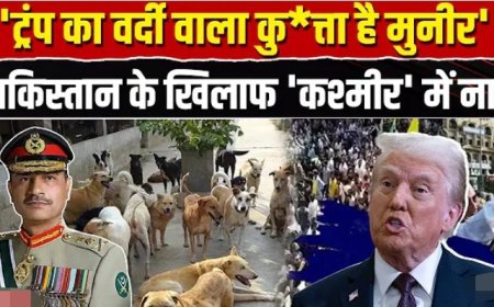 Pakistan_Asim_Munir_News__मुनीर_को_लेकर_PoK_में_बवाल,_Trump_का_कुत्ता_बताकर_लगे_नारे_।_