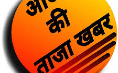 आज सुबह का मुख्य समाचार पत्र ✉ Rahul_Kharwar___जिला_कलेक्टर_से_भेड़_सांसद_जी..__#बीजेपी_#सांसद_#artcollector_#viral_#follow___Instagram