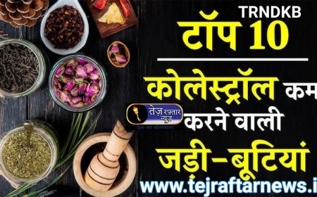 आज हम बताने वाले हैं बीमारियों का इलाज भी और बीमारियों से कैसे बचते हैं जल्द ही हमारे इस वेबसाइट पर लिए और हम सब संपर्क भी करिए इलाज आपको फ्री मुक्त मिलेगा जानकारी का कोई पैसा नहीं