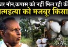 सरकारी आंकड़ों के अनुसार, भारत में 32 लाख किसान कपास उत्पादन से जुड़े हुए हैं। वास्तविक संख्या इससे कहीं ज्यादा होगी। अधिकांश कपास उत्पादक किसान सीमांत और छोटे किसान ही हैं
