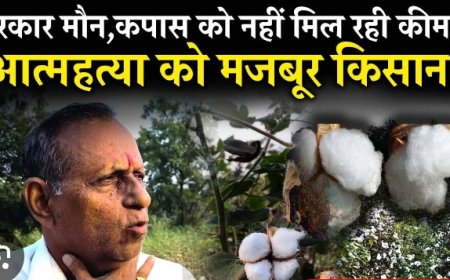 सरकारी आंकड़ों के अनुसार, भारत में 32 लाख किसान कपास उत्पादन से जुड़े हुए हैं। वास्तविक संख्या इससे कहीं ज्यादा होगी। अधिकांश कपास उत्पादक किसान सीमांत और छोटे किसान ही हैं