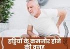 अपने हेल्थ टिप्स फिटनेस फार्मूला सारी खबरों को लेकर अब आज सुबह से शाम तक यह एक ऐसा अद्भुत पौधा है जो शरीर को अंदर से पोषण देने के साथ-साथ त्वचा और स्वास्थ्य दोनों के लिए बेहद लाभकारी माना जाता है।