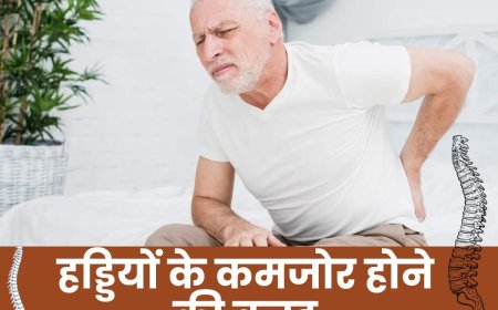 अपने हेल्थ टिप्स फिटनेस फार्मूला सारी खबरों को लेकर अब आज सुबह से शाम तक यह एक ऐसा अद्भुत पौधा है जो शरीर को अंदर से पोषण देने के साथ-साथ त्वचा और स्वास्थ्य दोनों के लिए बेहद लाभकारी माना जाता है।