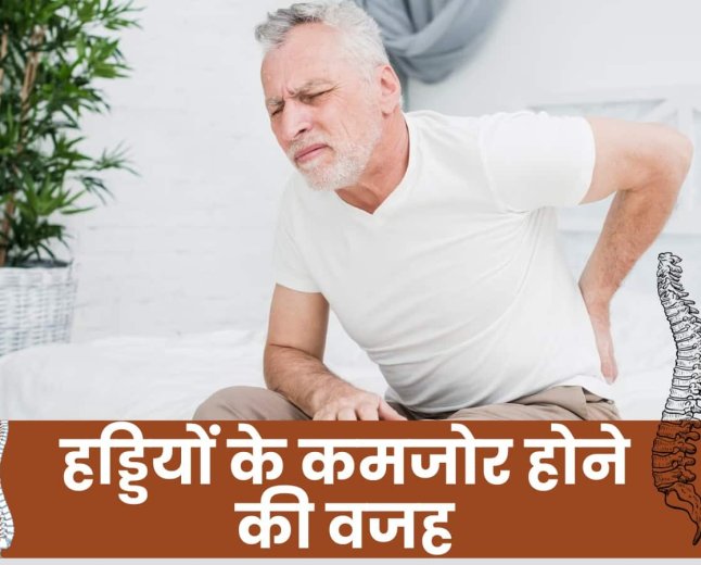 अपने हेल्थ टिप्स फिटनेस फार्मूला सारी खबरों को लेकर अब आज सुबह से शाम तक यह एक ऐसा अद्भुत पौधा है जो शरीर को अंदर से पोषण देने के साथ-साथ त्वचा और स्वास्थ्य दोनों के लिए बेहद लाभकारी माना जाता है।