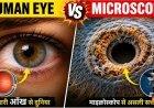 99__लोग_अपनी_Eyes_का_ये_रूप_कभी_नहीं_देख_पाए____Human_Eyes_Under_Microscope_😱