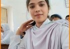 Minor Hindu Girl Gone Missing in Shāhdādpur, Sindh*  Sindh Renaissance Reports