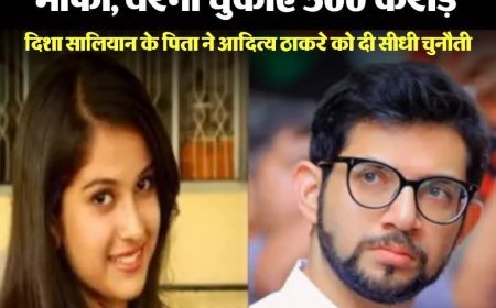 प्रमुख अनुप्रयोगों में DEP की भूमिकासर्विलांस और निगरानी (Surveillance): इलेक्ट्रिक मोटर्स का कम शोर